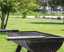 Barbeque Areas